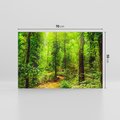 Obraz na płótnie 70x50 - Współistnienie z naturą - drzewa, las