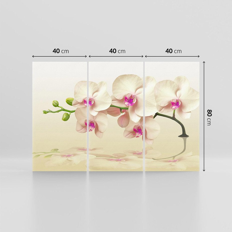 Obraz na płótnie 120x80 - Kwiatowa harmonia w SPA - orchidea, kwiat