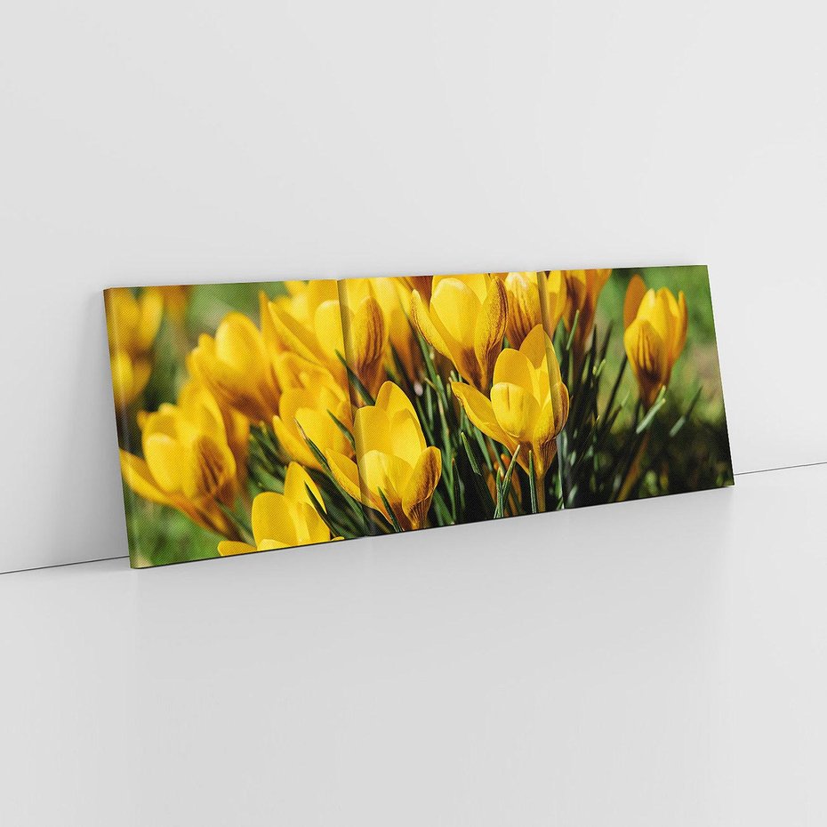 Obraz na płótnie 150x50 - Kwiatowe uniesienia natury - kwiat, kwiaty