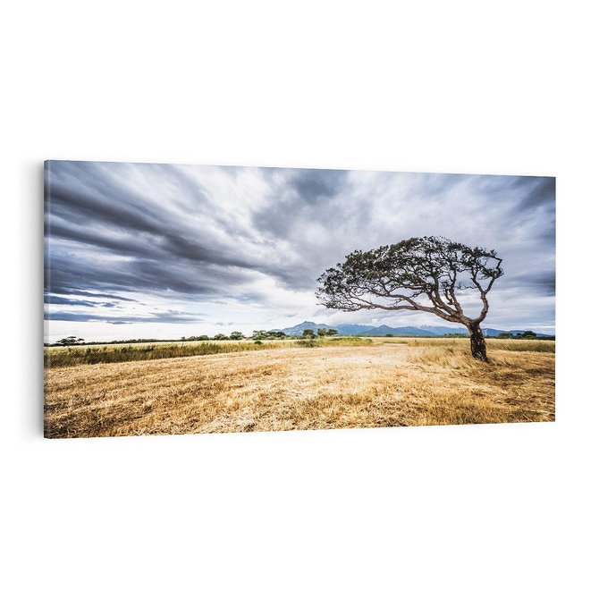 Obraz na płótnie 100x50 - Mistyka afrykańskiej sawanny - sawanna, drzewo