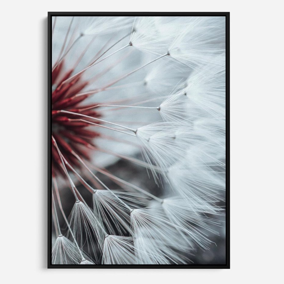 Obraz w ramie 50x70 - Makro świat dmuchawca - dmuchawiec, makro - rama czarna