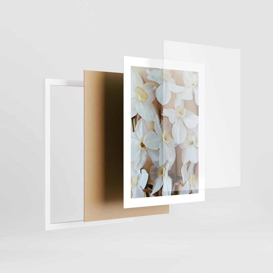 Plakat w ramie 30x40 - Białe Narcyzy - narcyzy, kwiaty - rama biała