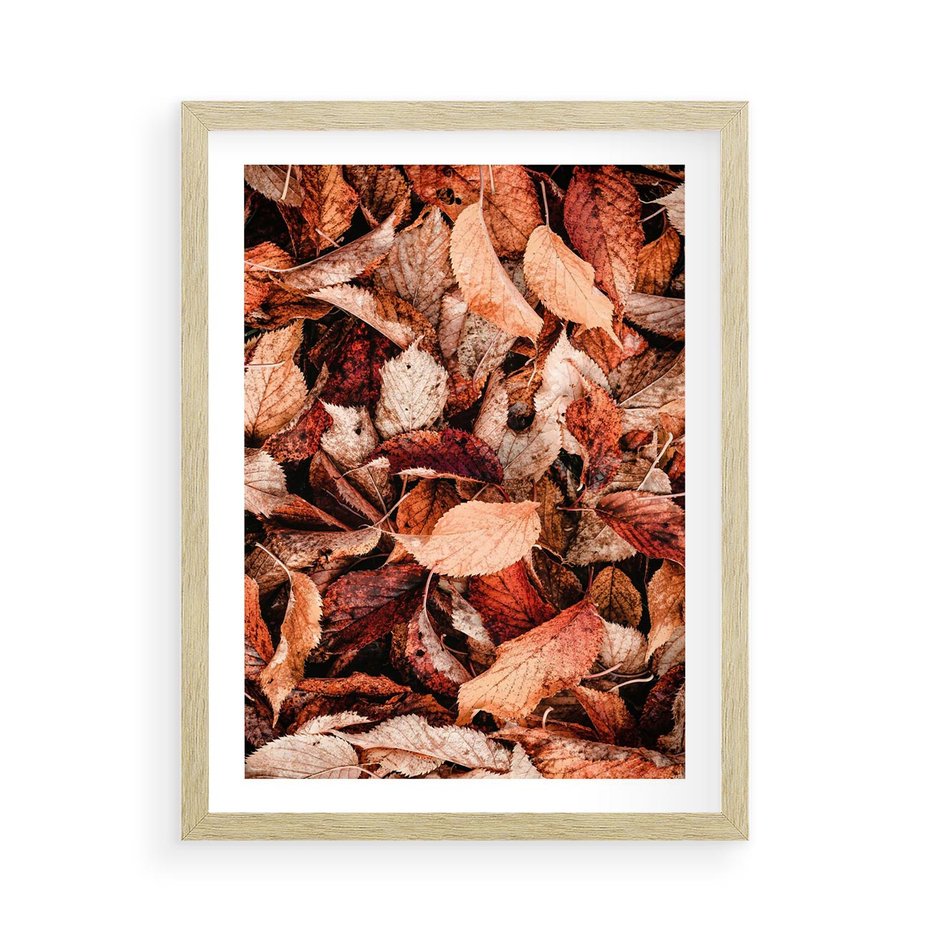 Plakat w ramie 50x70 - Magia Jesiennej Ziemi - liście, jesień - rama drewno