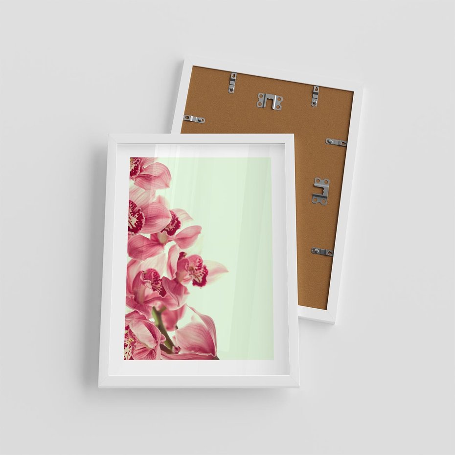 Plakat w ramie 30x40 - Orchidea - delikatne kwiaty - orchidea, kwiaty - rama biała