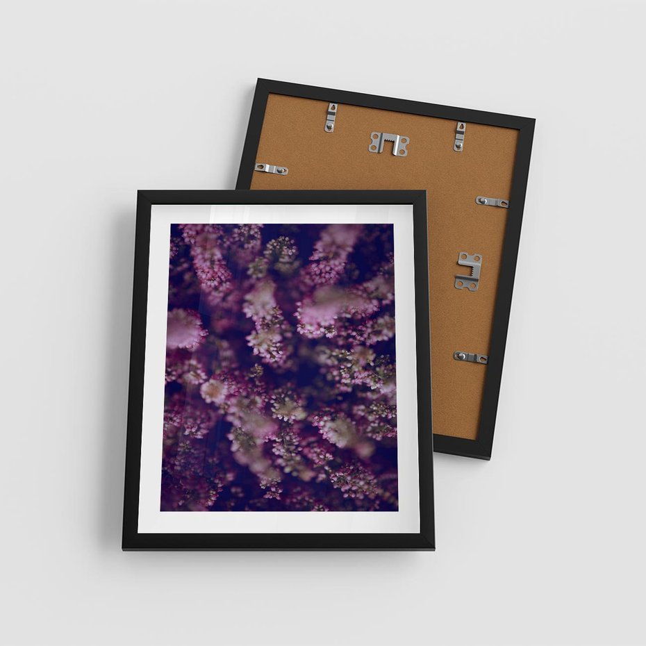 Plakat w ramie 40x50 - Wrzosowa Delikatność - wrzosy, kwiaty - rama czarna