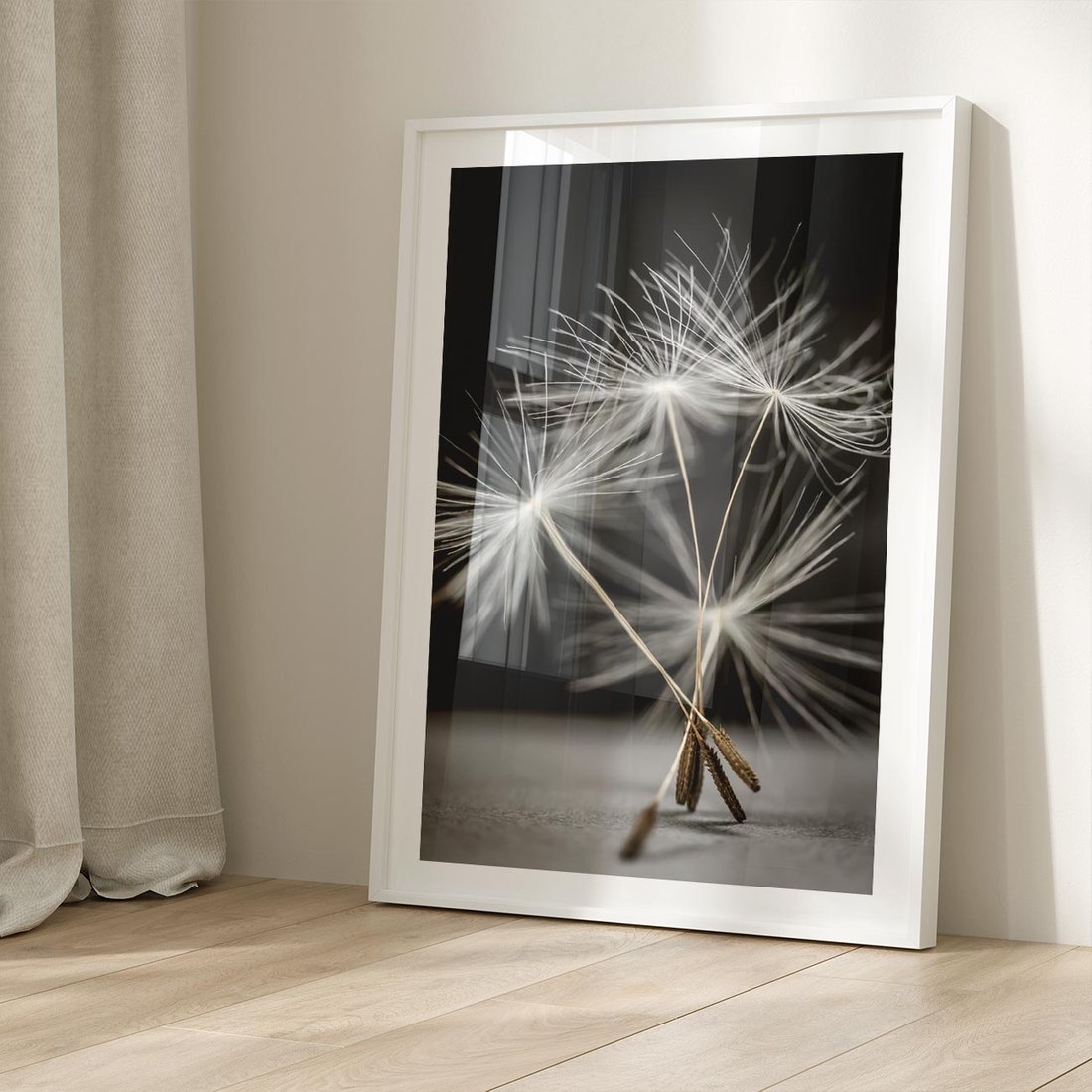 Plakat bez ramy 21x30 - Delikatność dmuchawców zbliżenie - dmuchawce, zbliżenie