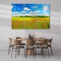 Obraz na płótnie 120x80 - Malownicze maki na łące - maki, łąka