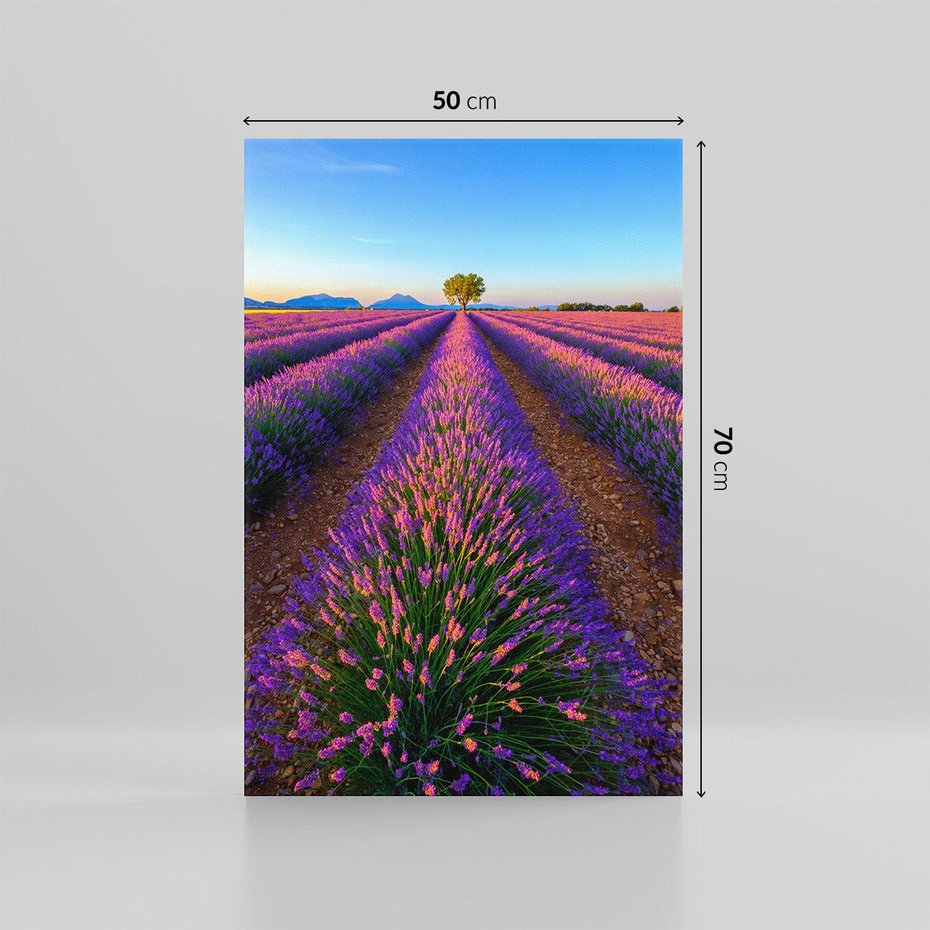 Obraz na płótnie 50x70 - Fioletowa Magia - pole, lawendy