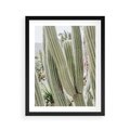 Plakat w ramie 40x50 - Duże Kaktusy w Pejzażu - kaktus, duże kaktusy na pustyni - rama czarna