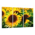 Obraz na płótnie 120x80 - Słonecznikowa Energia - słonecznik, kwiat