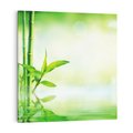 Obraz na płótnie 30x30 - Bambusowy relaks w SPA - bambus, SPA