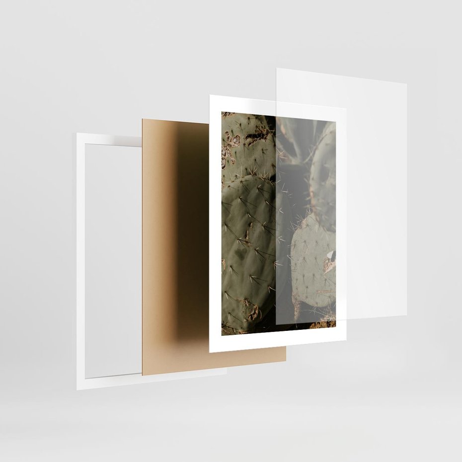 Plakat w ramie 30x40 - Urok Egzotyki - kaktusy, boho - rama biała
