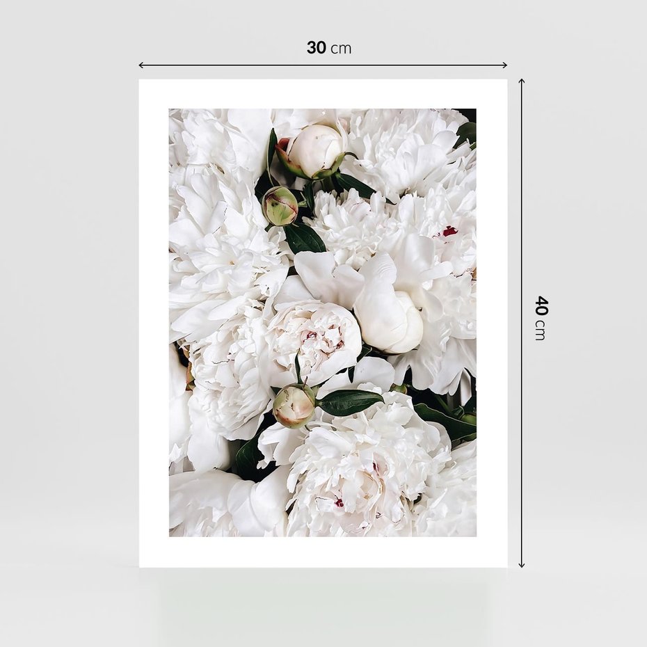 Plakat bez ramy 30x40 - Modne Białe Kwiaty - białe kwiaty, płatki