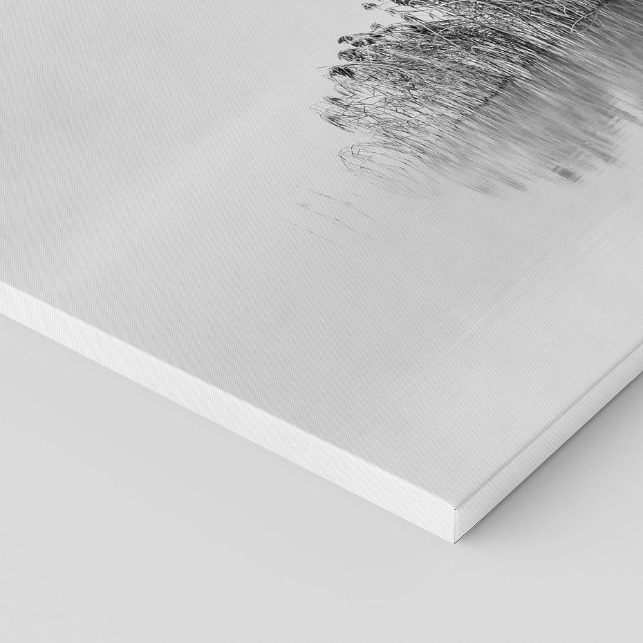 Obraz na płótnie 40x40 - Mglisty Brzeg Jeziora - czarno białe zdjęcie, zamglone jezioro