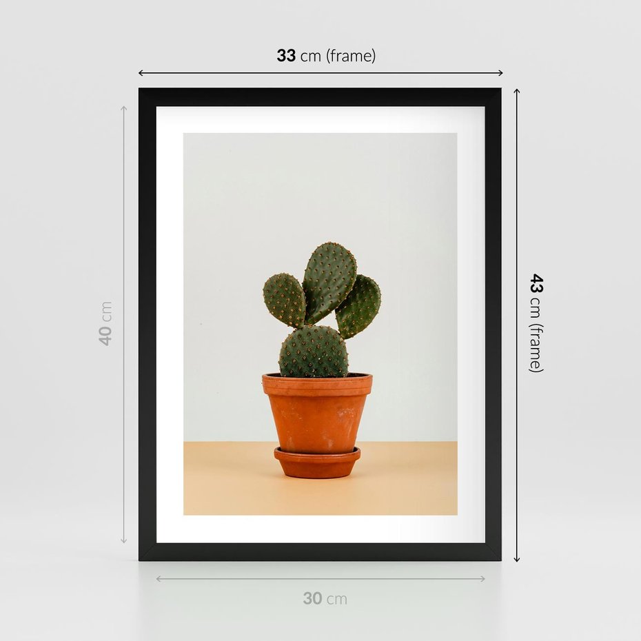 Plakat w ramie 30x40 - Kwiatowy taniec kaktusa - kaktus, kwiat - rama czarna