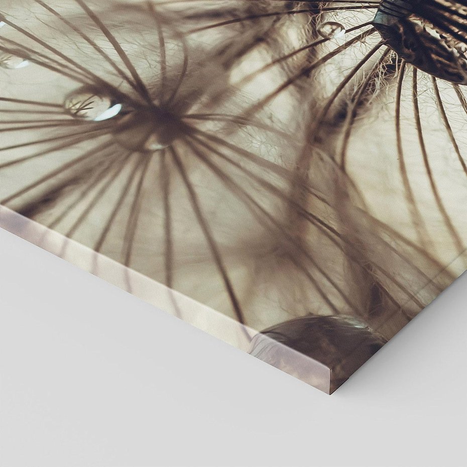 Obraz na płótnie 150x50 - Lekkie dmuchawce - dmuchawce, krople