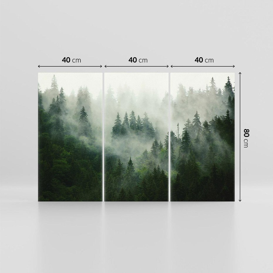 Obraz na płótnie 120x80 - Las Mgły - Las, we