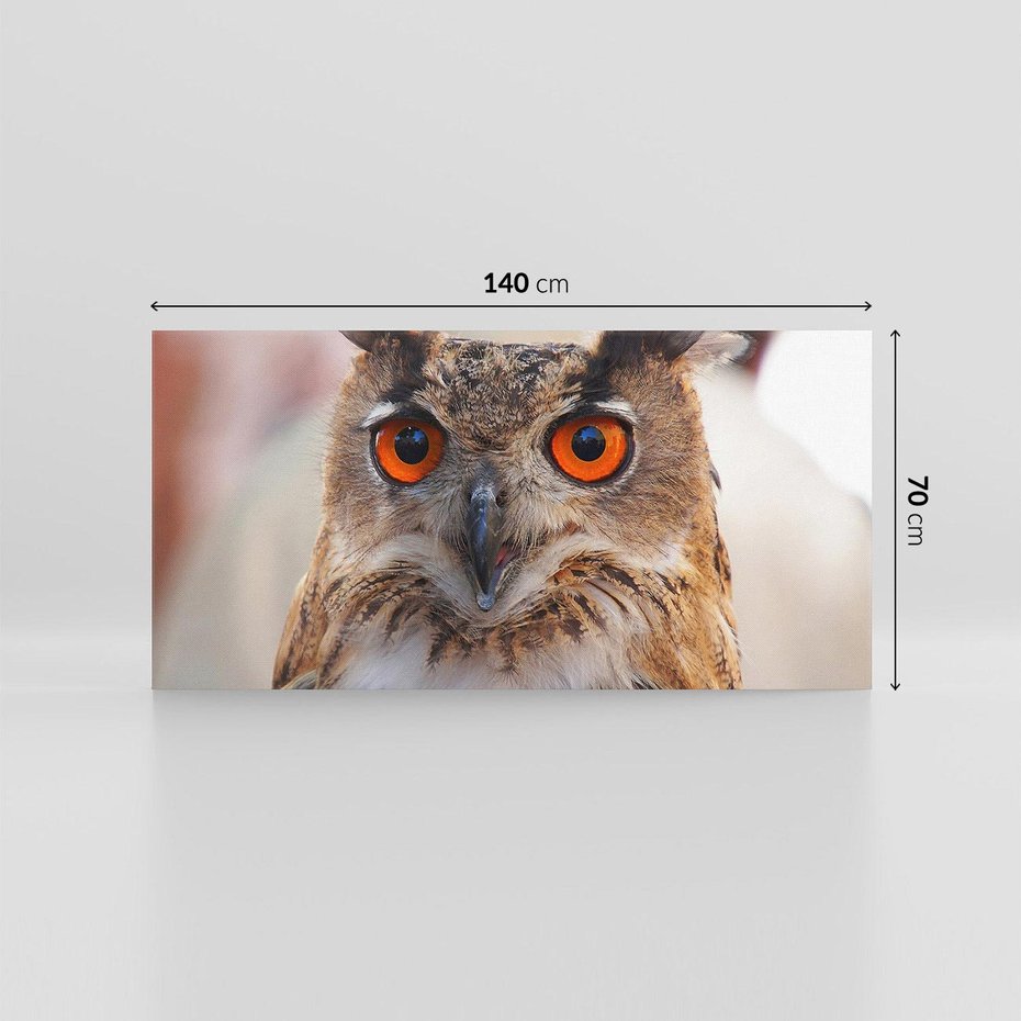 Obraz na płótnie 140x70 - Mądra sowa w locie - sowa, ptak