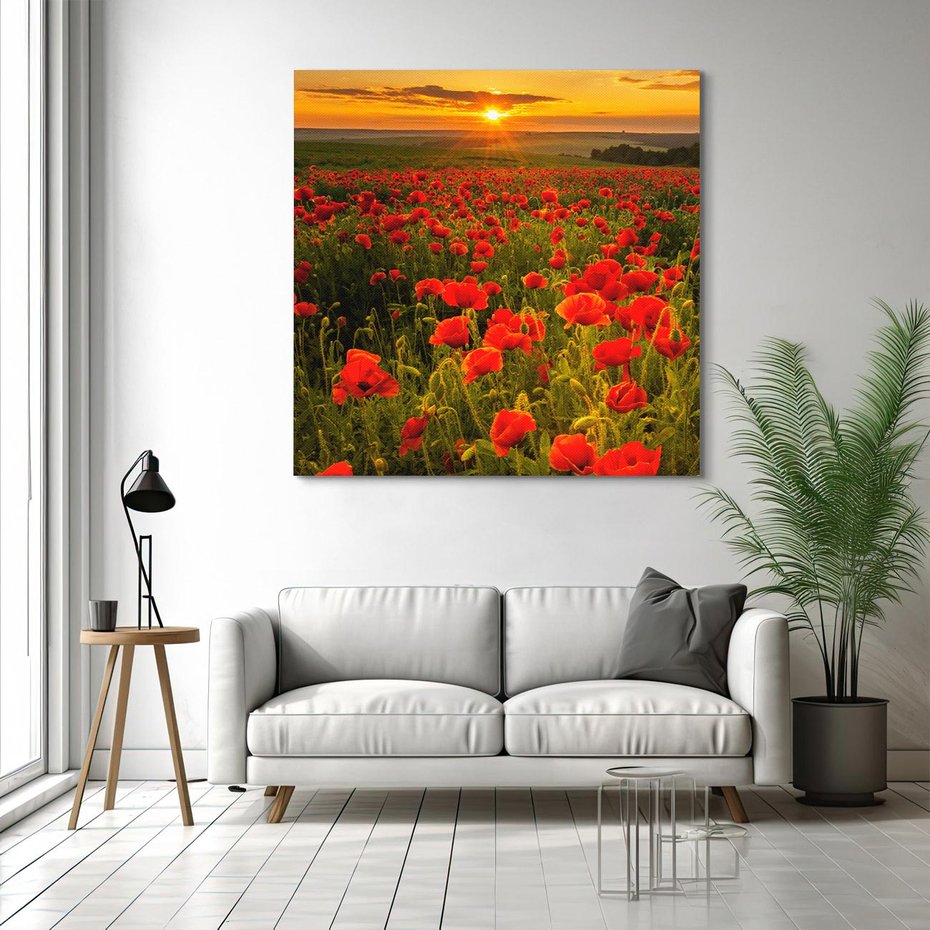 Obraz na płótnie 40x40 - Maki przy zachodzie słońca - maki, zachód