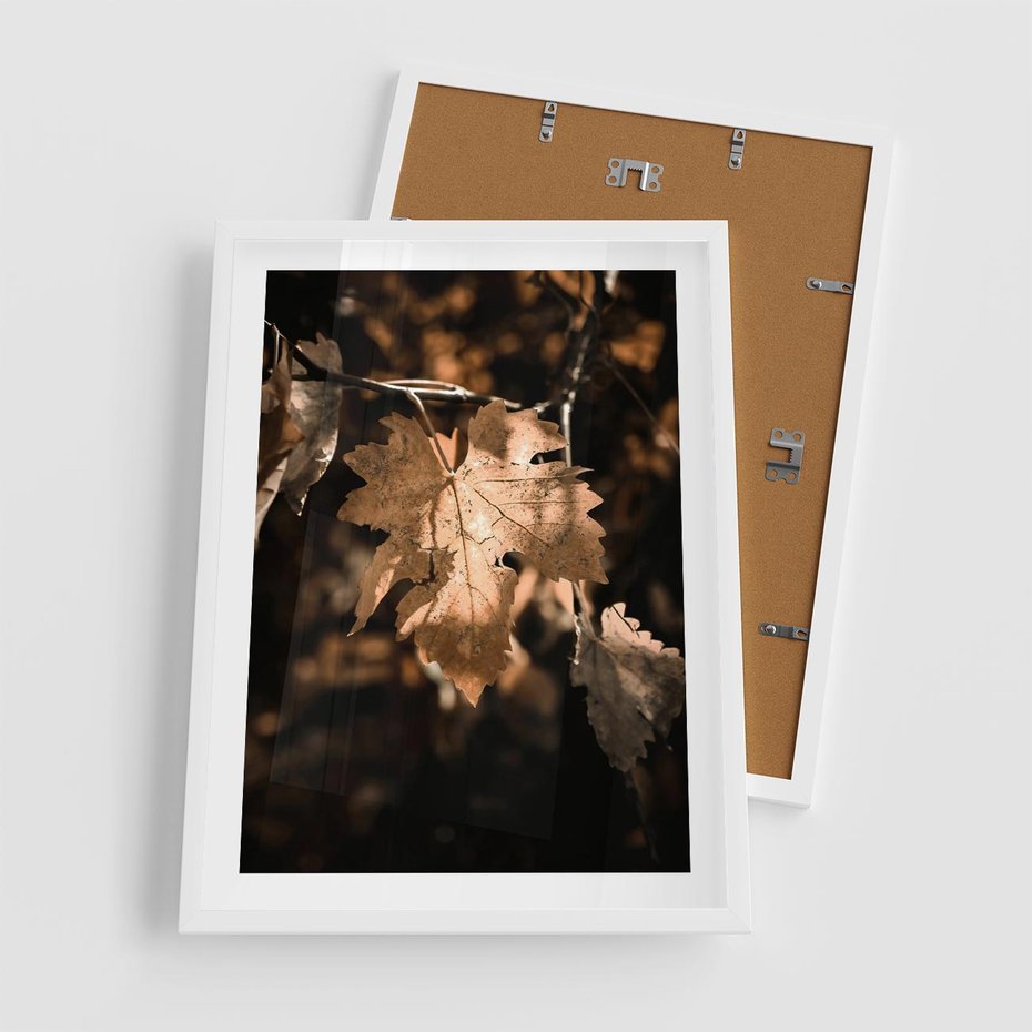 Plakat w ramie 50x70 - Uroczy Liść na Drzewie - jesienny liść, żółty liść na drzewie - rama biała
