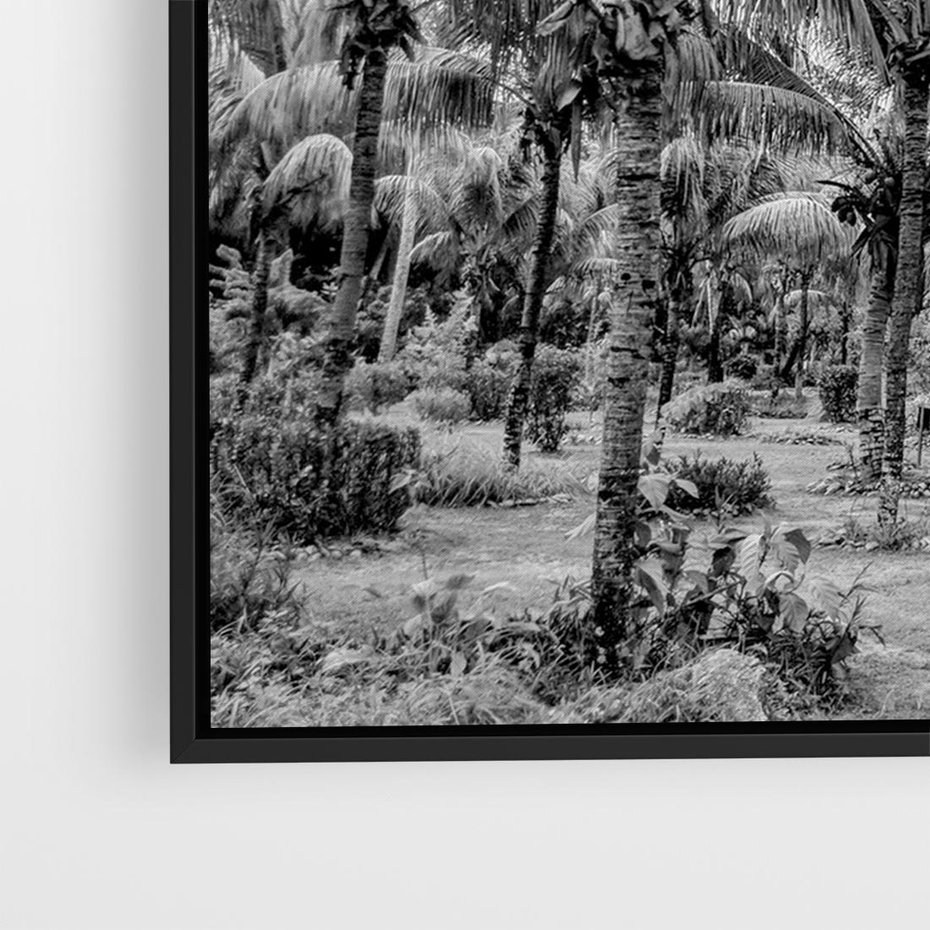 Obraz w ramie 100x70 - Mroczna Ścieżka Tropików - czarno biała fotografia, ścieżka pośród palm - rama czarna