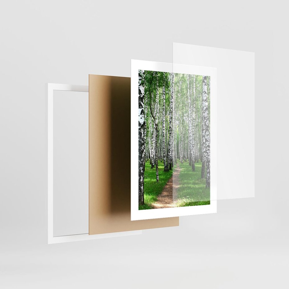 Plakat w ramie 30x40 - Bajkowy las pełen brzóz - las, brzozy - rama biała