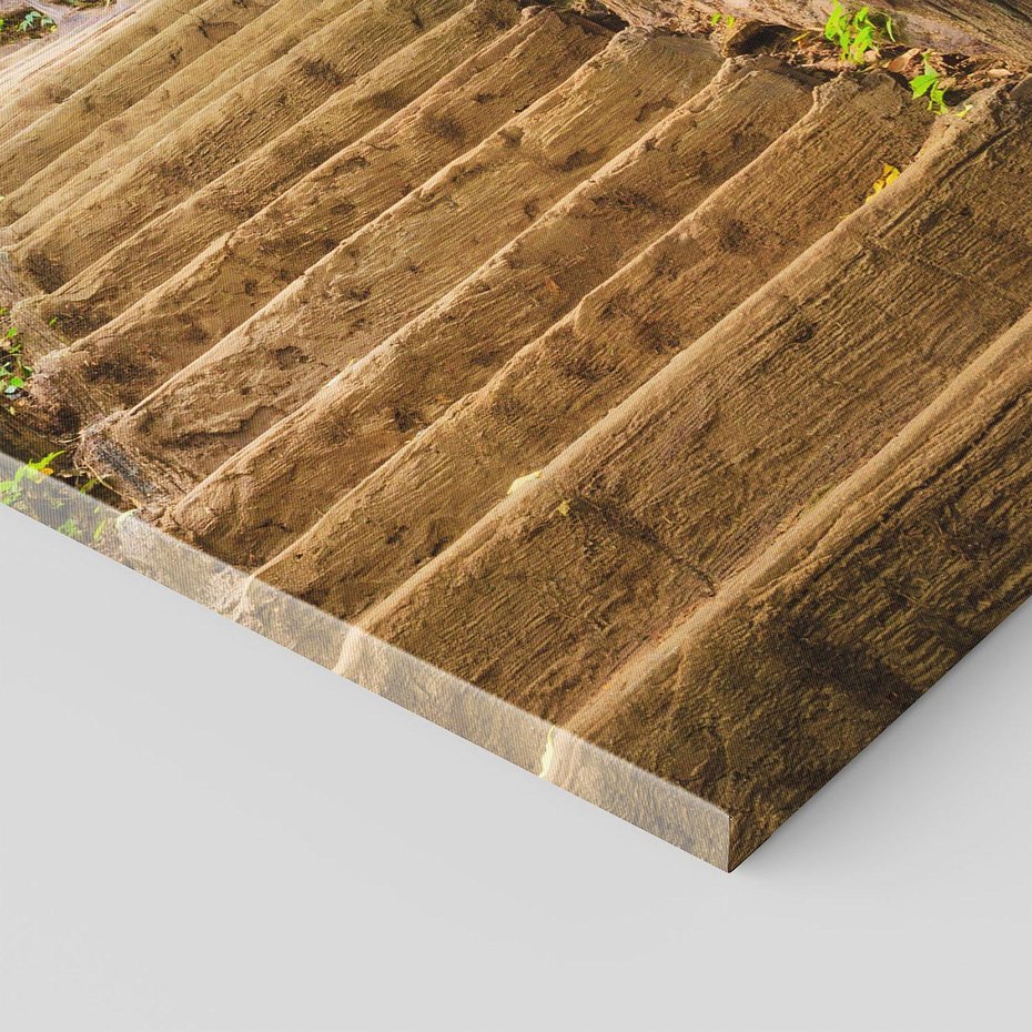 Obraz na płótnie 50x70 - Magiczne schody w lesie - schody, las