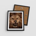 Plakat w ramie 40x50 - Władca Sawanny - lew, sawanna - rama czarna