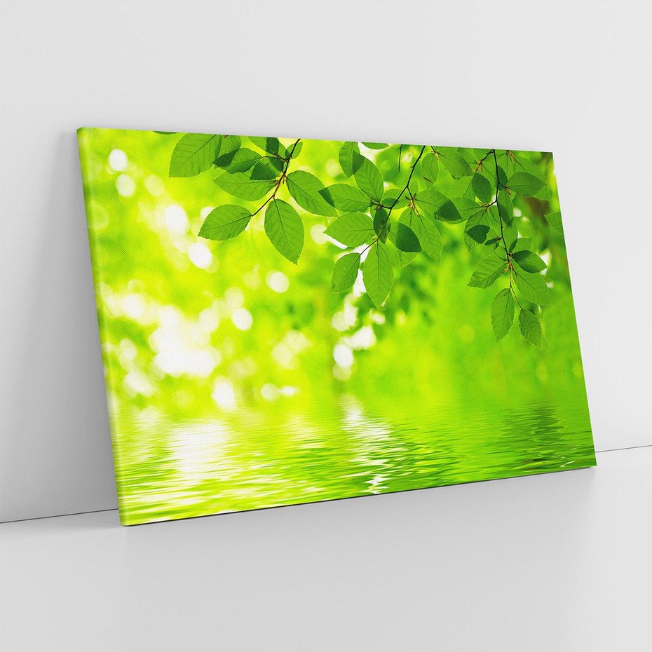 Obraz na płótnie 120x80 - Liście w Wodzie - liście, woda