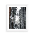 Plakat w ramie 40x50 - Cicha Magia Zimowego Lasu - zimowy las, ośnieżone drzewa - rama biała