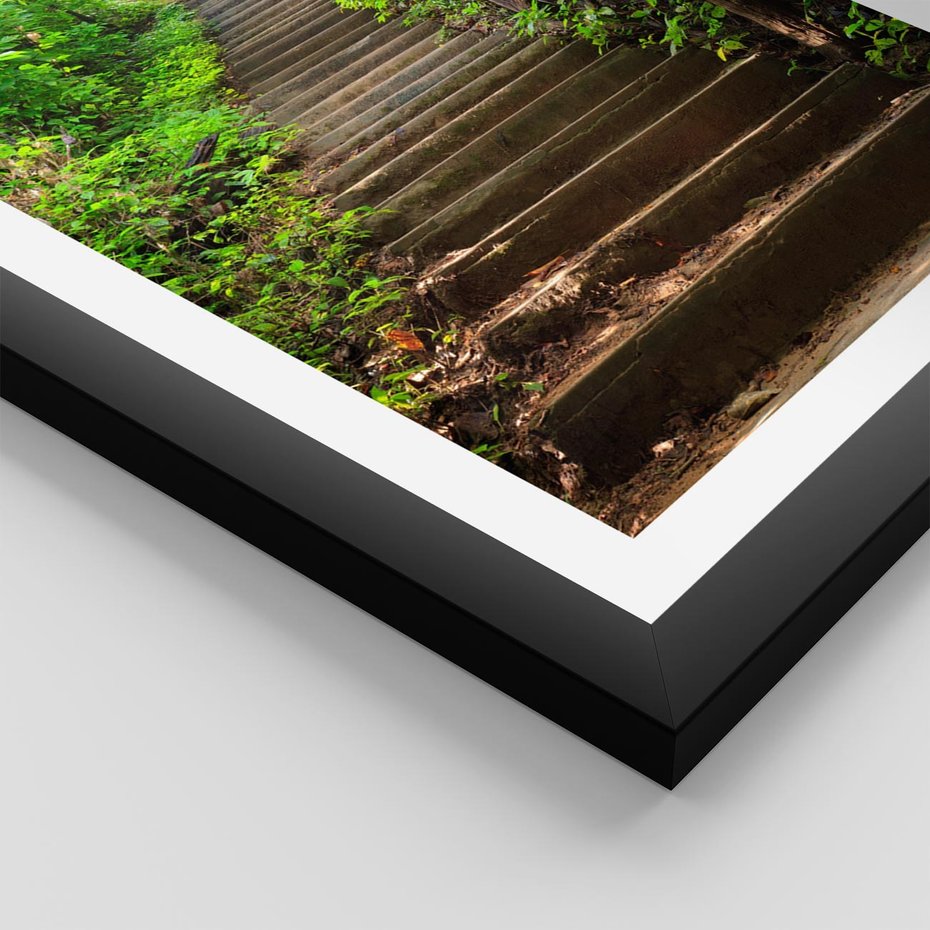 Plakat w ramie 30x40 - Lasowa ścieżka pełna tajemnic - ścieżka, schody - rama czarna