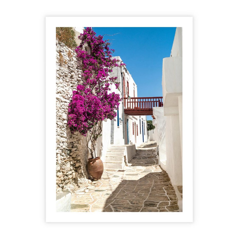 Plakat bez ramy 30x40 - Kwiaty Chorwacji - kwiaty, Chorwacja
