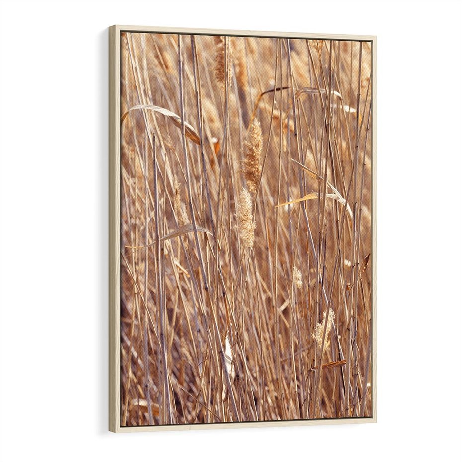 Obraz w ramie 80x120 - Mistrzowskie suche trawy - suche, trawy - rama drewno