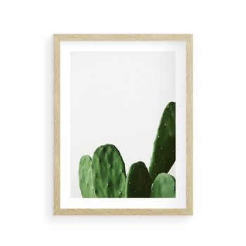 Plakat w ramie 30x40 - Minimalizm Natury - kaktus, zbliżenie - rama drewno