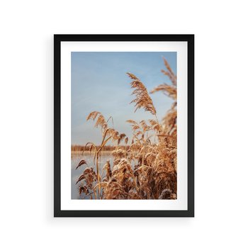 Plakat w ramie 40x50 - Wyraz Stylu - trawy, boho - rama czarna