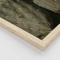 Zestaw obrazy w ramie 50x70 galeria - Kaktusy, sukulenty, opuncja, boho - rama drewno