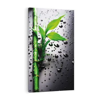 Obraz na płótnie 80x120 - Bambusowa Harmonia - bambus, liście