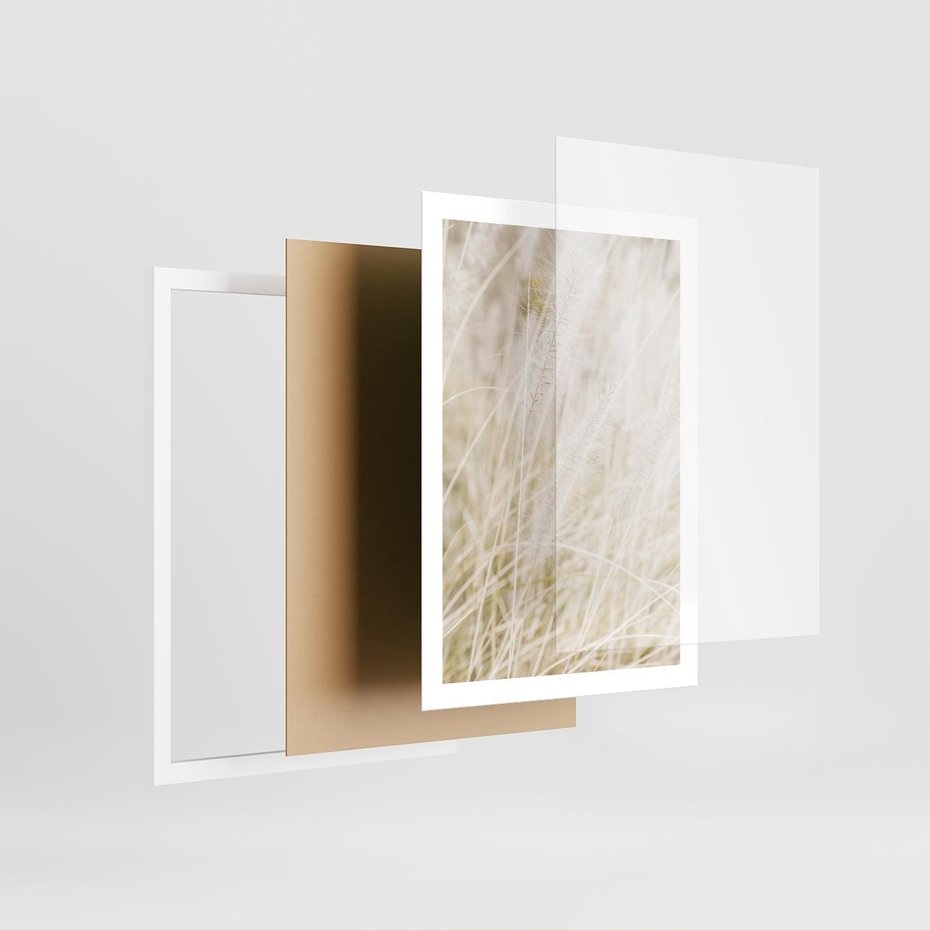 Plakat w ramie 50x70 - Białe Trawy Pampas - suche trawy, białe trawy - rama biała