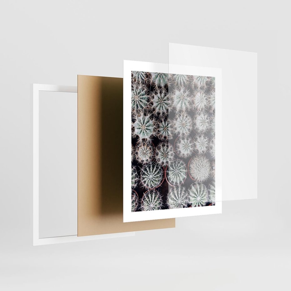 Plakat w ramie 40x50 - Wzór Kaktusów - kaktusy w doniczkach, ujęcie z góry - rama biała