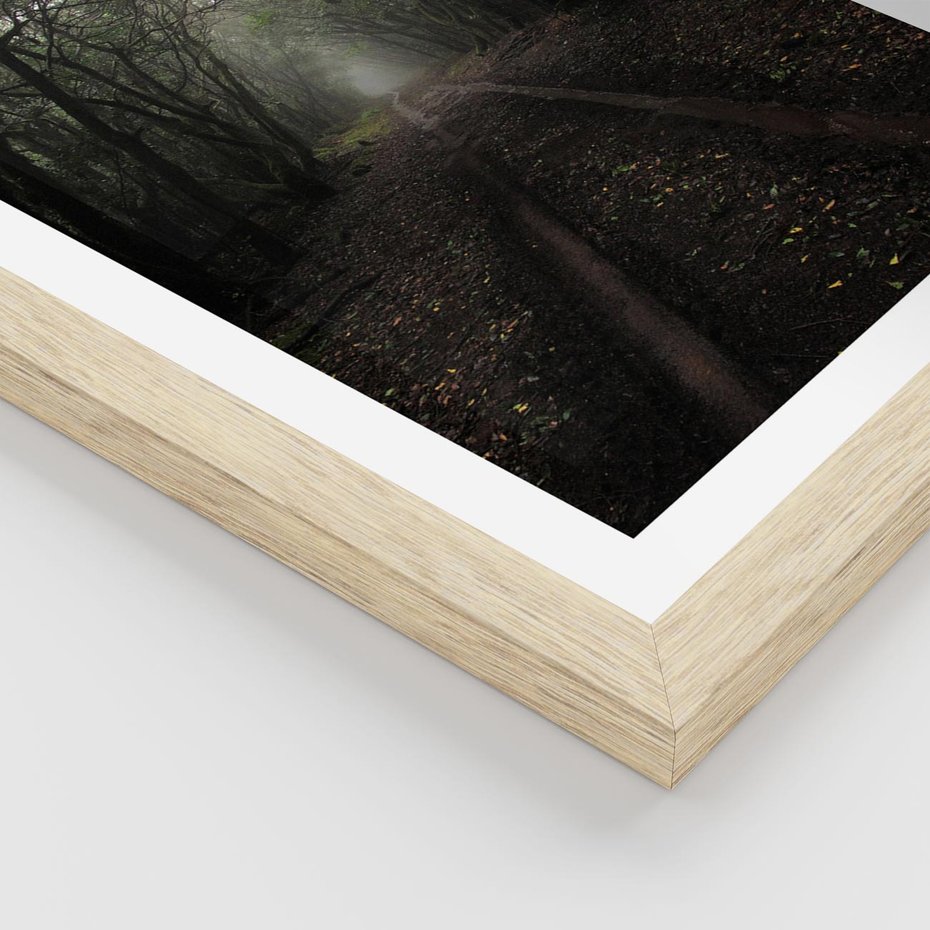 Plakat w ramie 30x40 - Urok Drogi - las, droga - rama drewno