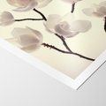 Plakat bez ramy 21x30 - Elegancja Natury - magnolia, białe