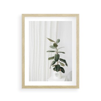 Plakat w ramie 40x50 - Kwiat w Bieli - kwiat w doniczce, białe wnętrze - rama drewno