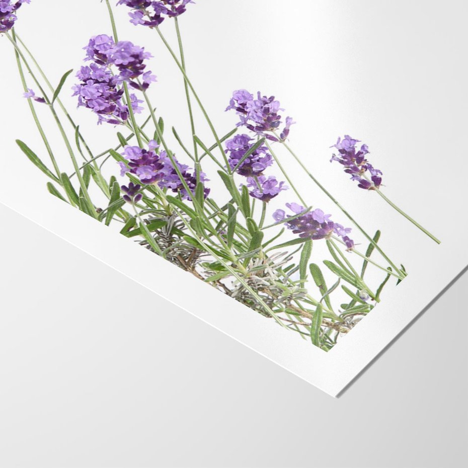Plakat bez ramy 30x40 - Delikatny Urok - lawenda, kwiaty