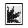 Plakat w ramie 40x50 - Czas Zapomnienia - palmy, czarno biała fotografia - rama czarna