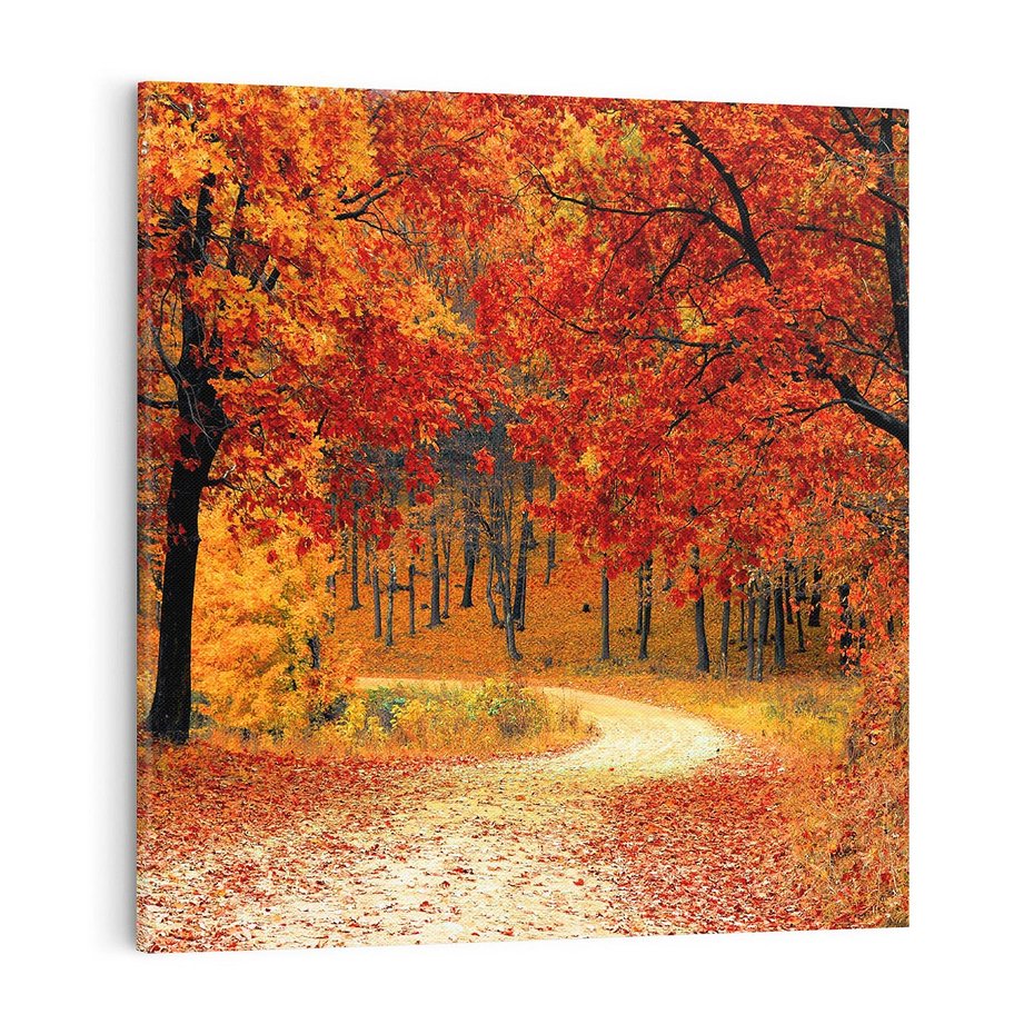 Obraz na płótnie 70x70 - Jesienna melodia lasu - jesień, las