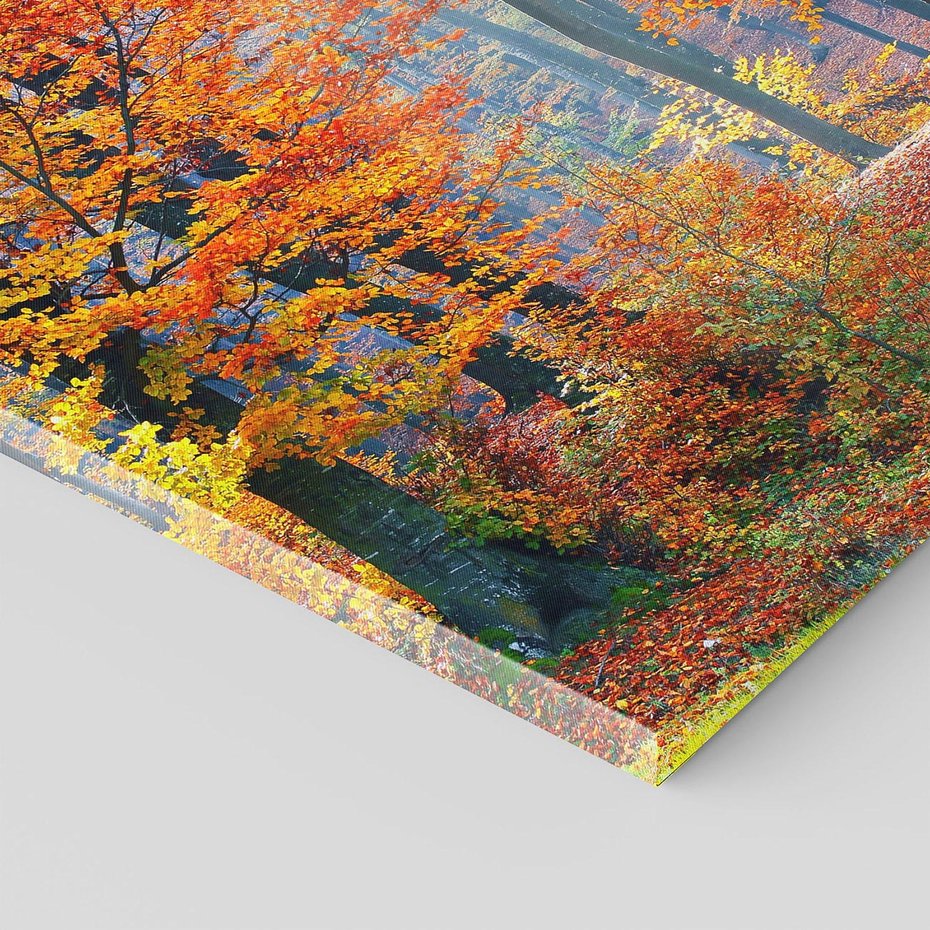 Obraz na płótnie 70x70 - Jesienny taniec lasu - jesień, las