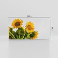 Obraz na płótnie 120x60 - Słoneczna Radość - fotografia, żółte słoneczniki