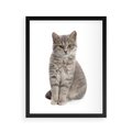 Plakat w ramie 40x50 - Kocie uroki na płótnie - kot, kotek - rama czarna