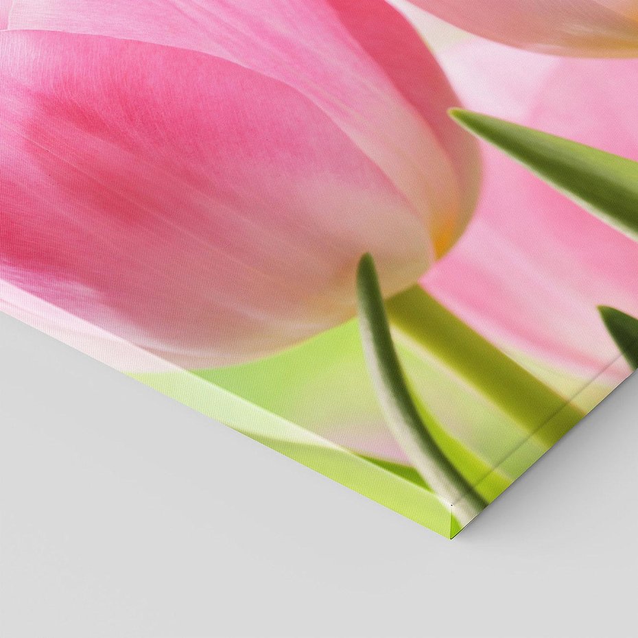 Obraz na płótnie 120x60 - Kwiaty w pełnym rozkwicie - kwiat, Kwiaty