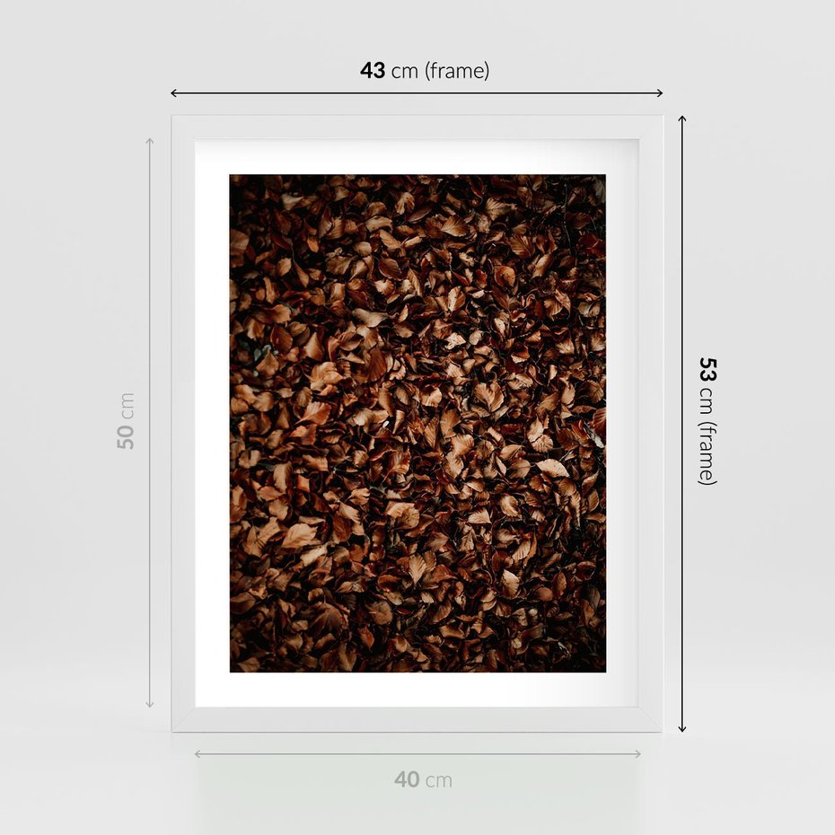 Plakat w ramie 40x50 - Jesienny Dywan - dywan z suchych liści, jesień - rama biała